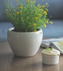 Cache-pot en céramique blanche