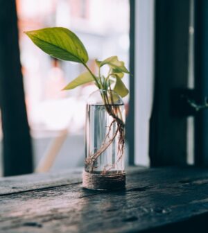 Vase en verre et corde de jute